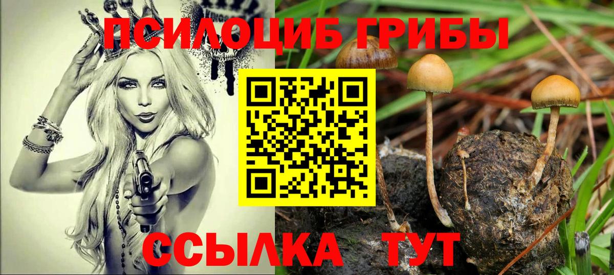 где найти наркотики  Вход с VPN  Галлюциногенные грибы Psilocybine cubensis  Белореченск  Псилоцибиновые грибы GOLDEN TEACHER 
