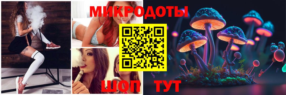 Галлюциногенные грибы Psilocybe Белореченск